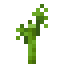 Bamboo Shoot