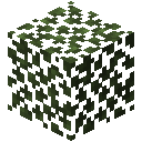 Birch Leaves