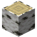 Birch Log