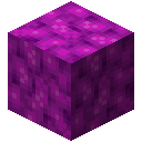 Bubble Coral Block
