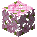 Cherry Leaves