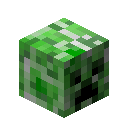 Creeper Head