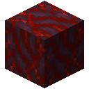 Crimson Hyphae