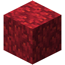 Fire Coral Block
