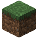 Grass Block