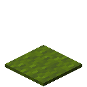 Green Carpet