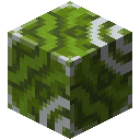 Green Glazed Terracotta