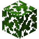 Jungle Leaves