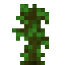 Jungle Sapling