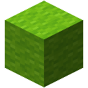 Lime Wool