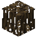 Mangrove Roots