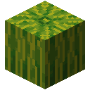 Melon