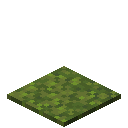 Moss Carpet