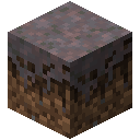 Mycelium