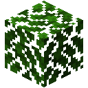 Oak Leaves