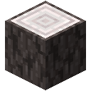 Pale Oak Log