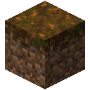Podzol