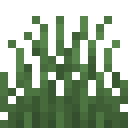 Short Grass