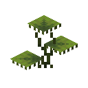 Small Dripleaf