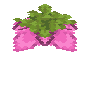 Spore Blossom