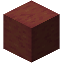 Stripped Mangrove Wood
