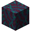 Warped Hyphae